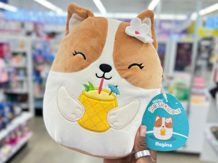 Hand holding Corgi Squishmallow Regina