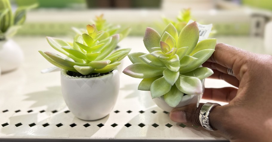 50% Off Target Artificial Potted Plants | Prices from $2.50