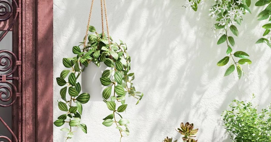 green plant in white pot hanging with rope