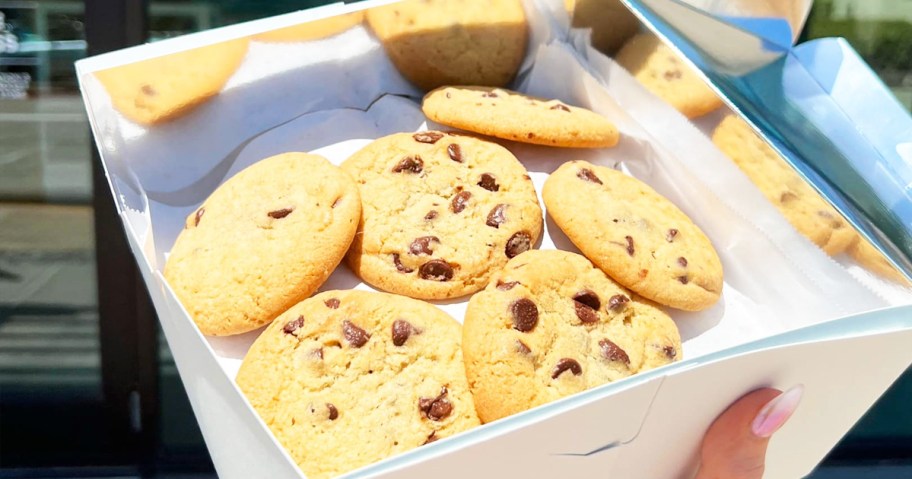 Hand holding a box full of chocolate chip cookies from Tiff's Treats