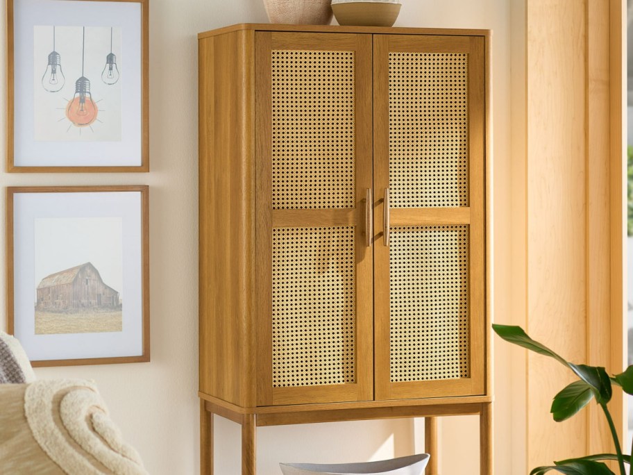 Better Homes & Gardens Cane Storage Cabinet Only $188 Shipped on Walmart.com (Reg. $228)