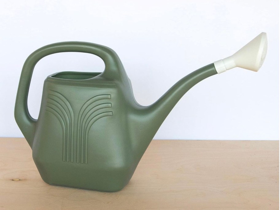 green and white watering can sitting on hardwood floor