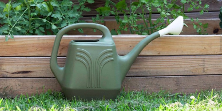 Watering Can 2-Gallon Only $10.79 on Amazon