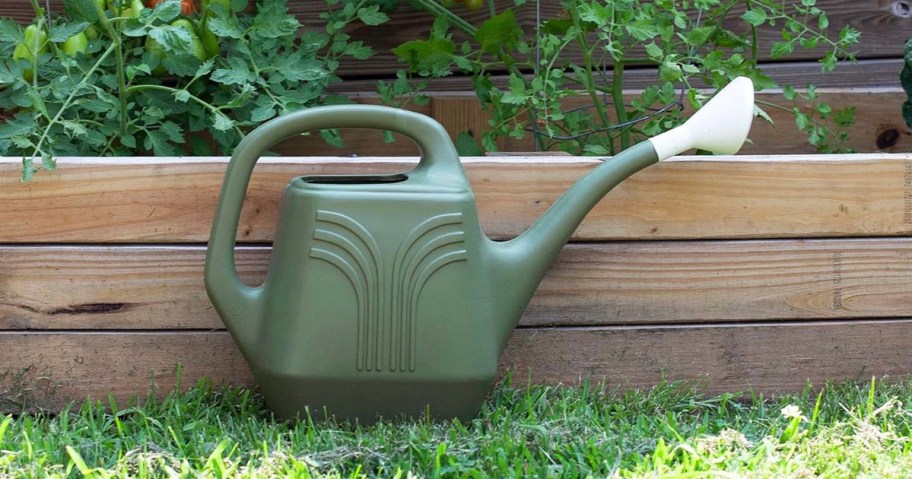 green watering can sitting on grass
