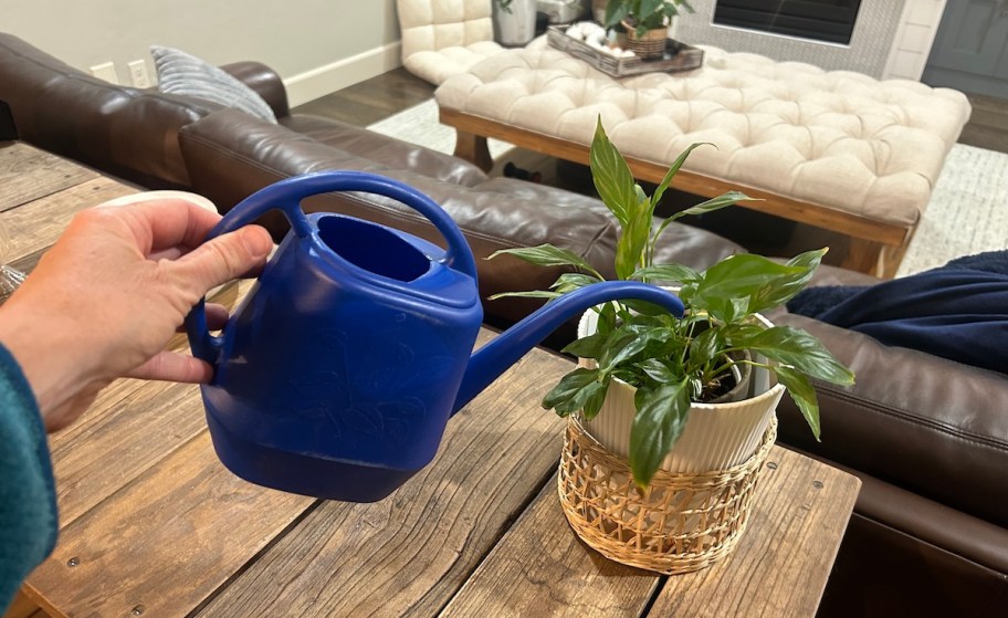 hand holding blue water spout over houseplant on wood table