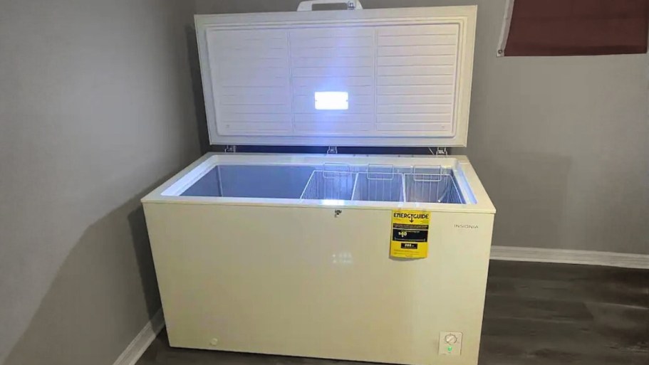 Insignia Chest Freezer Just $349.99 Best Buy (Reg. $800)