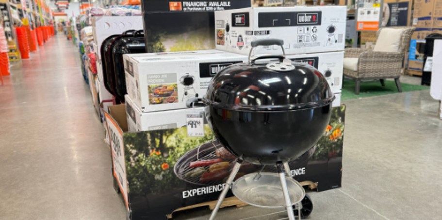 22 Home Depot Year-Round Shopping Hacks You Need to Know (Return Dead Plants Within a Year!)