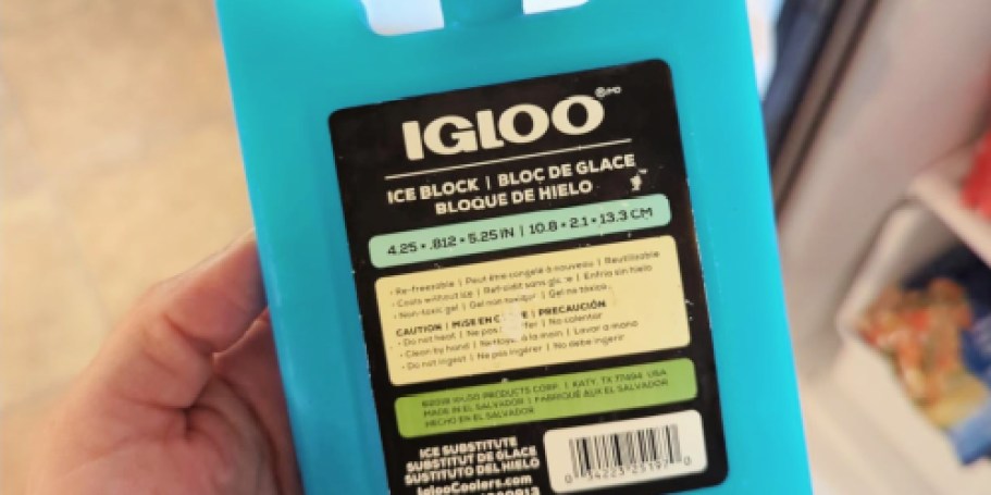 Igloo Reusable Ice Block Only 98¢ on Walmart.com (Perfect for Work & School Lunches!)
