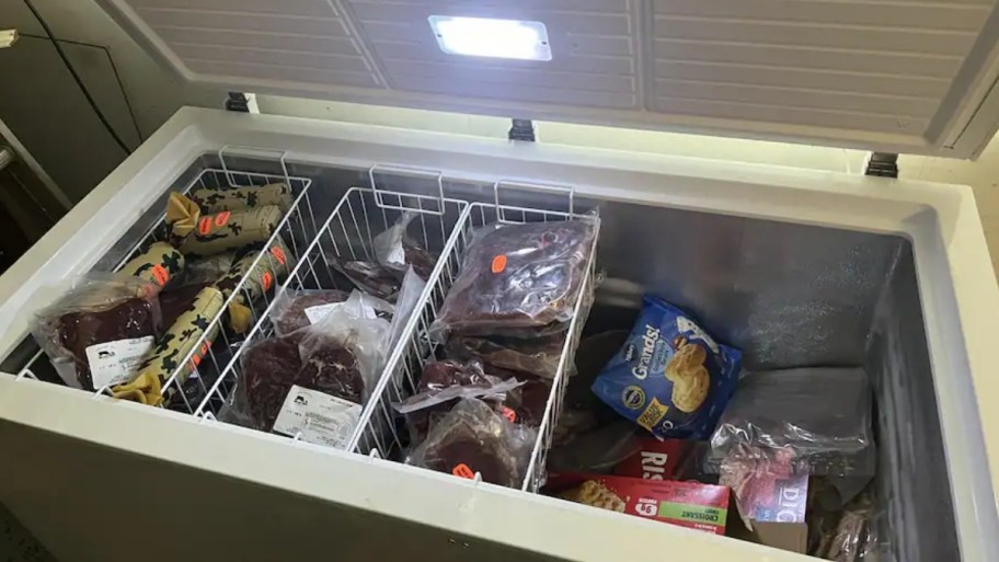 insignia chest freezer with food