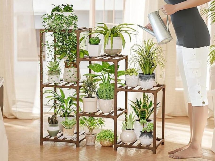 Bamworld 3-Tier Ladder Plant Stand with woman standing beside it watering plants