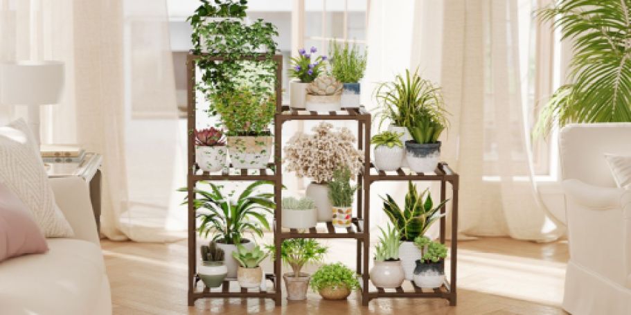 Ladder Plant Stand Only $19.54 on Amazon | Over 13K 5-Star Ratings!