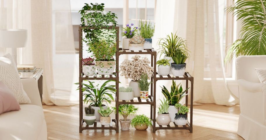 Bamworld 3-Tier Ladder Plant Stand in living room with plants on it