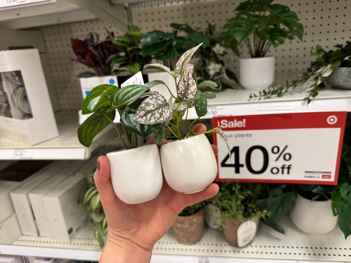 small-faux-plants-target.jpg?w=912