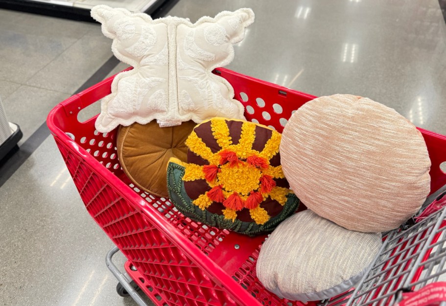 Up to 70% Off Target Throw Pillows Clearance | Styles from $6 (Reg. $20)