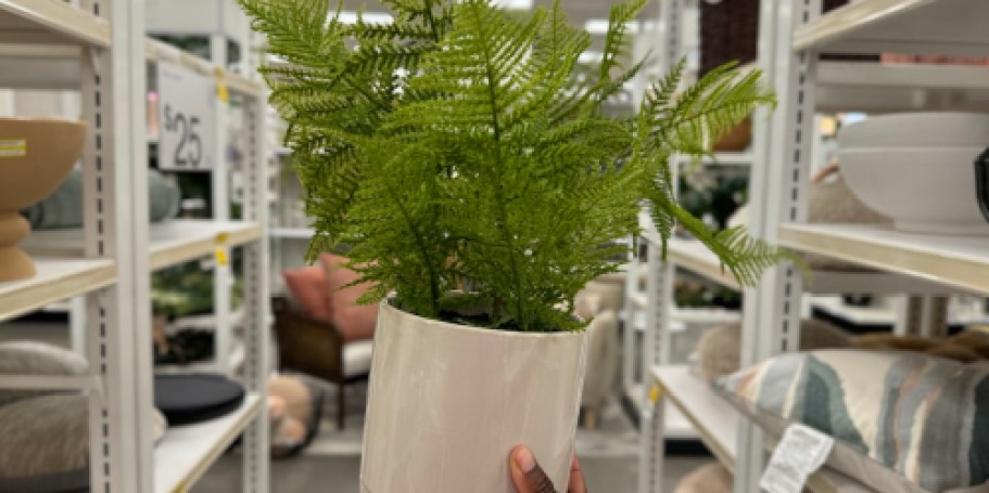Possible 50% Off Target Clearance | Planters, Patio Furniture, & Fire Pits!