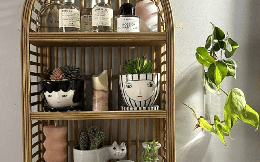 rattan wall shelf with plants 