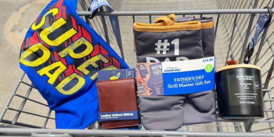 15 Easy-Peasy Walmart Father’s Day Gifts – All Under $25!