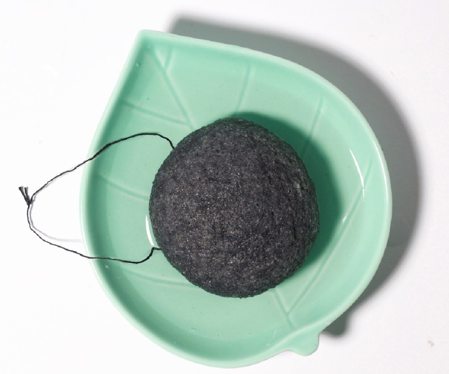 charcoal sponge on leaf plate