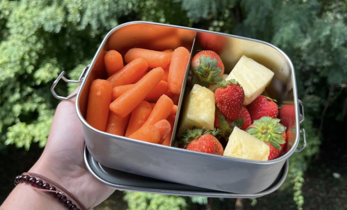 6 Best Lunch Bags for Kids in 2025 | Hip2Save