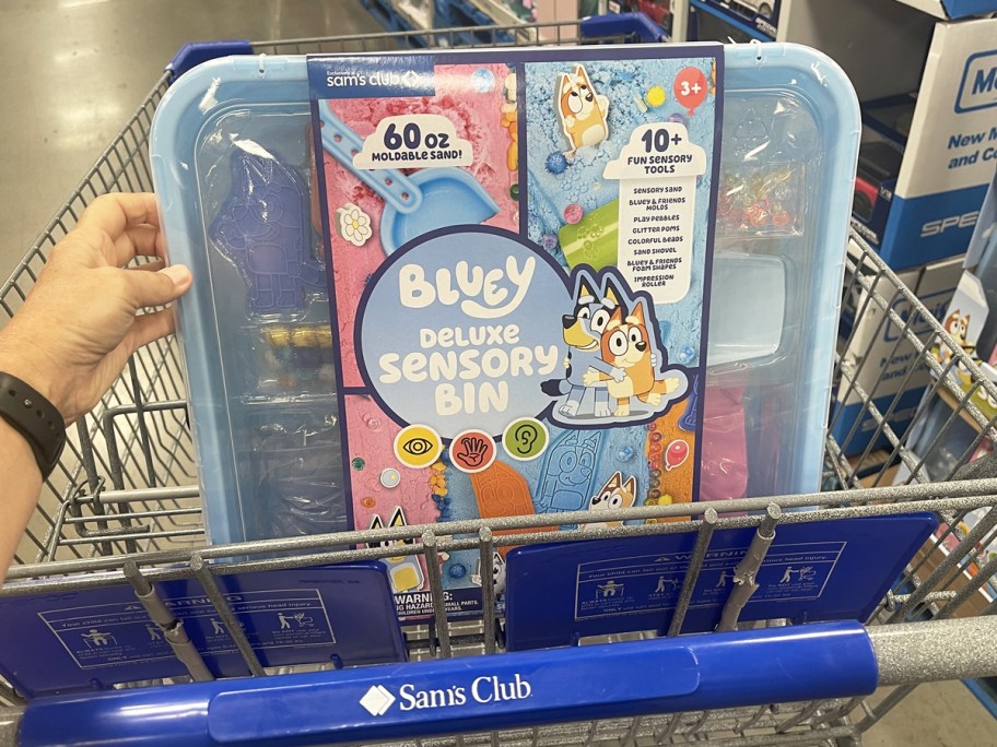 hand touching Bluey sensory bin in sam's club shopping cart