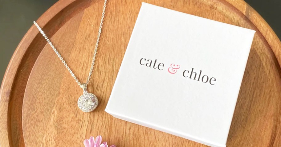 silver pendant necklace next to cate & chloe jewelry box