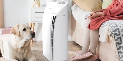 Air Purifier Just $61.75 Shipped on Amazon | Removes 99.97% Allergens, Dust, & Pollen