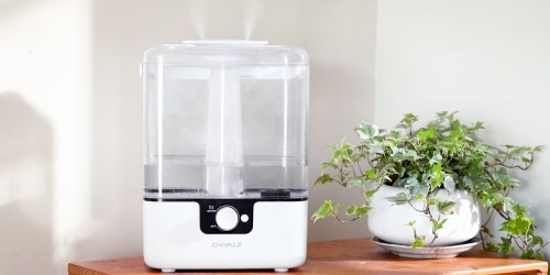 Cool Mist Humidifier & Essential Oil Diffuser Only $17.49 Shipped on Amazon