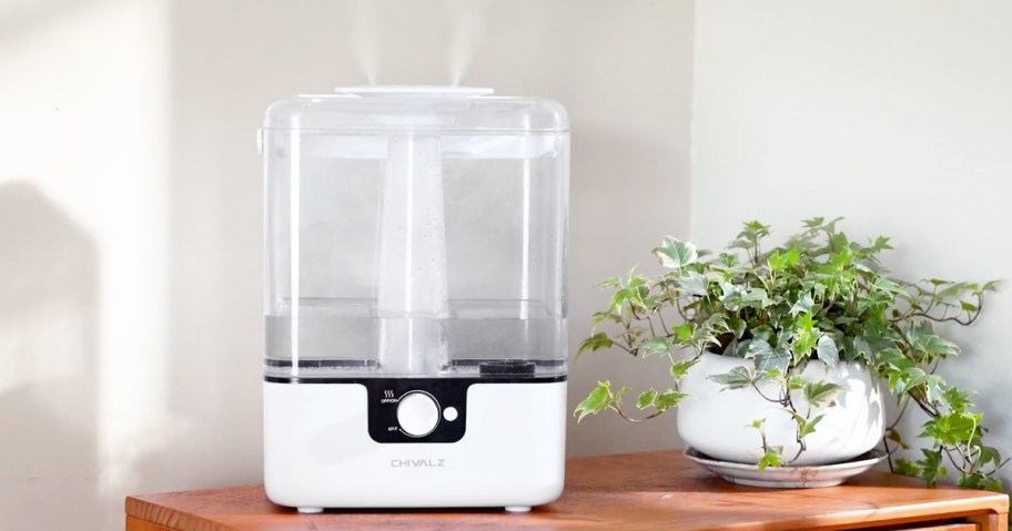 white humidifier on table with plant