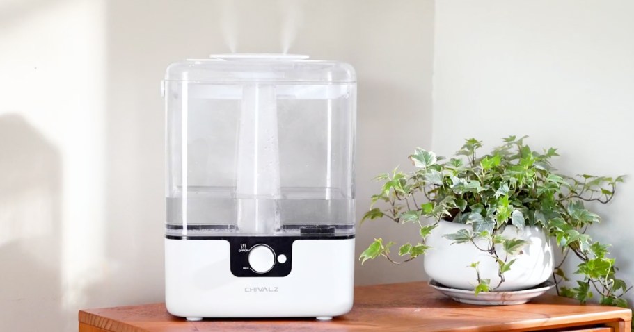 Cool Mist Humidifier w/ Diffuser Only $15.99 Shipped on Amazon (Great for Dry Summer Air)