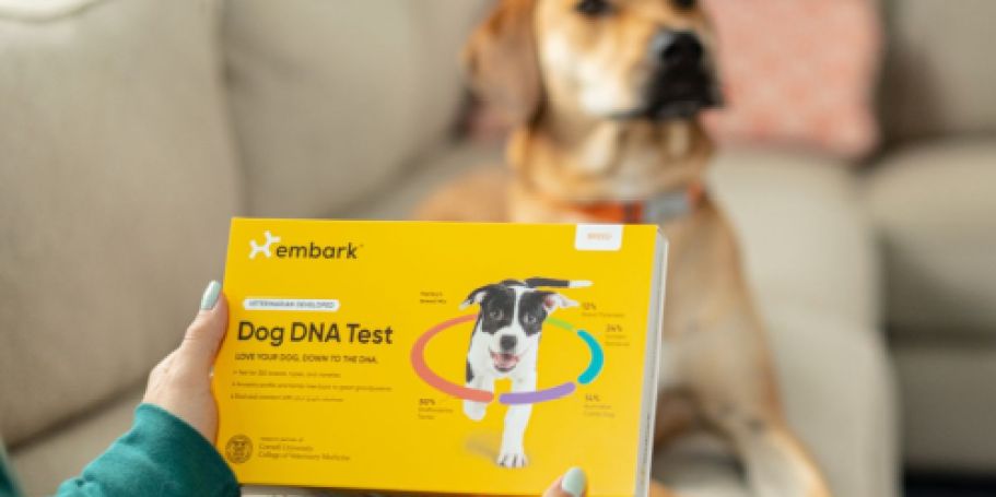 Embark Dog DNA Tests from $99 Shipped | Find Your Dog’s Breed, Relatives, & More