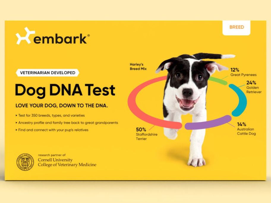An Embark Dog DNA test Kit