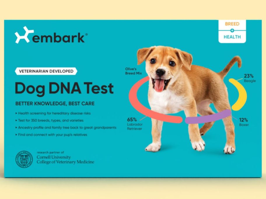 An Embark Dog DNA + Health Test Kit