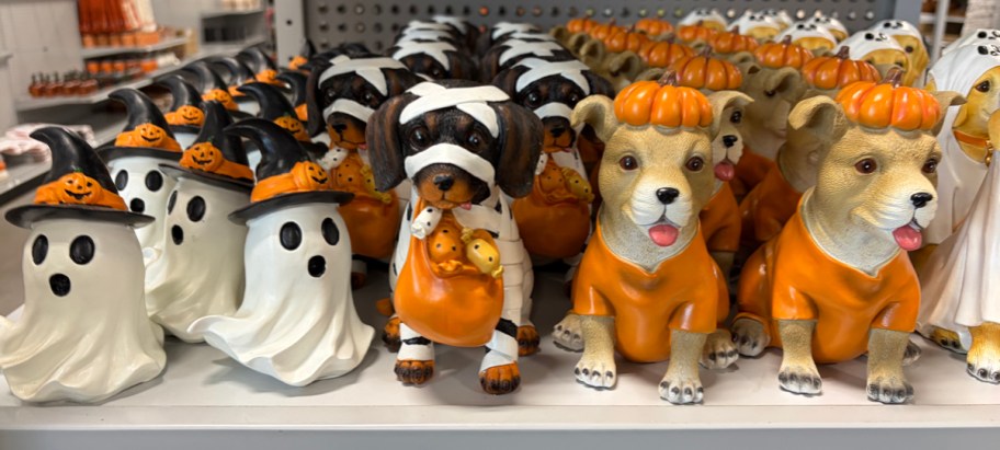 Ghost with Witches Hat, Dog in Mummy Costume, Dog in Pumpkin Costume