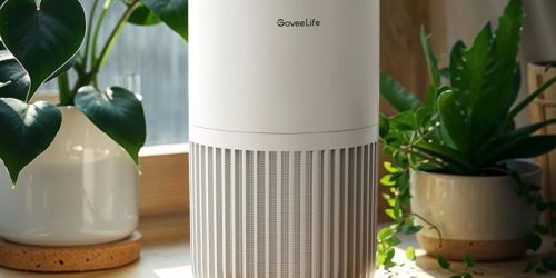 Smart Mini Air Purifier Only $34.99 Shipped for Prime Members | Works w/ Alexa & Google Assistant