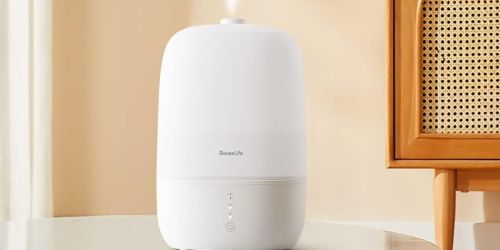 Govee Smart Humidifier Just $27.99 Shipped on Amazon (Regularly $40)