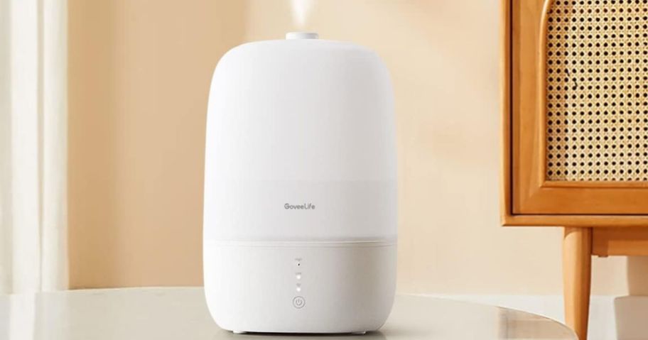 GoveeLife Smart Humidifier