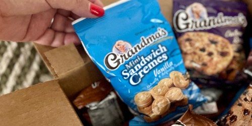 Grandma’s Mini Cookies 24-Pack Just $17.85 Shipped on Amazon