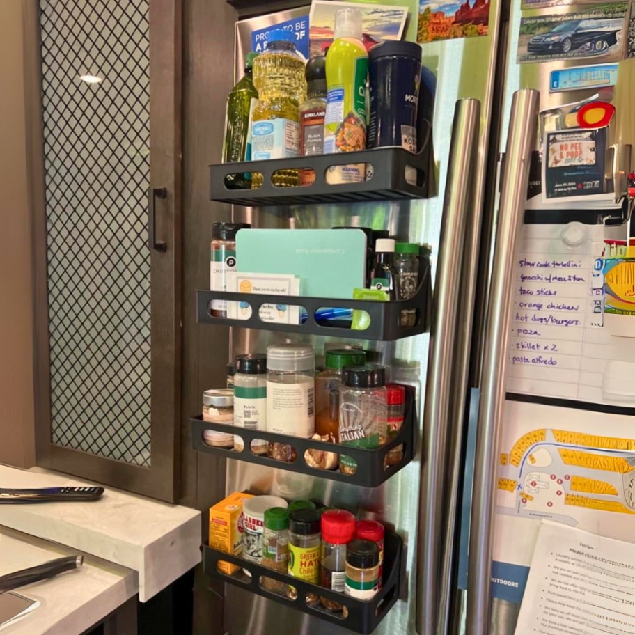 front of a fridge with 4 magnetic spice racks filled with various kitchen items