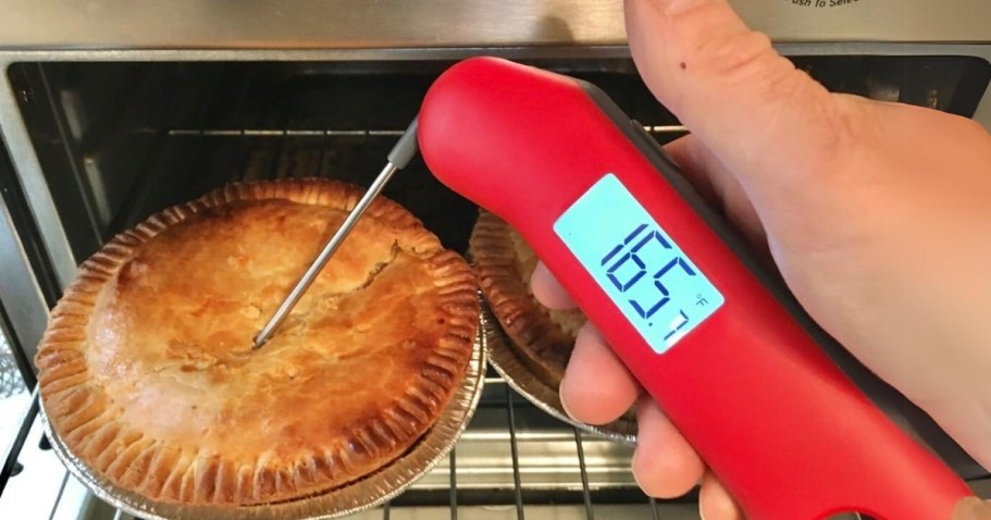 Instant Read Meat Thermometer Just $9.99 on Amazon | Waterproof & Magnetic