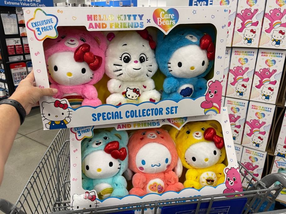 A person holding a box of Hello Kitty & Friends as Care Bears Stuffed Plush