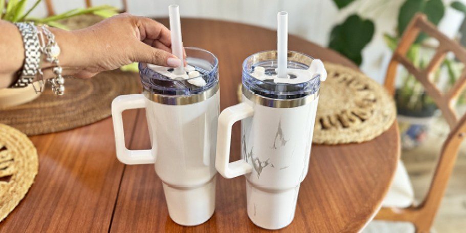 Double Walled 40oz Tumblers 2-Pack ONLY $14.95 Shipped – Keeps Ice Water Cold for 40 Hours!
