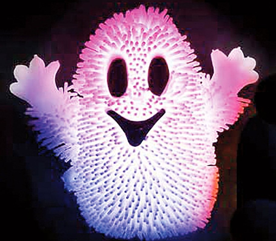 Light-Up Ghost Puffer Toy