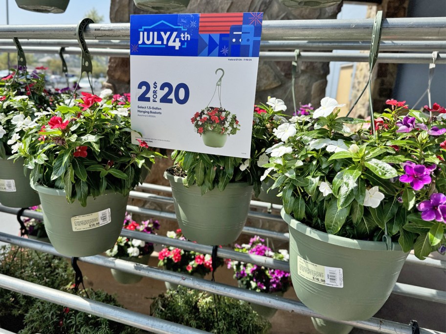 hanging flower baskets at Lowe's with 2/$20 sale sign