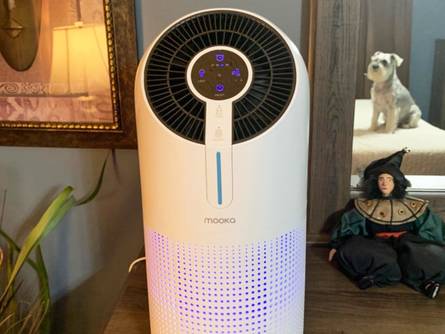 HEPA Air Purifier Only $33.78 Shipped on Amazon (Great for Large Rooms)