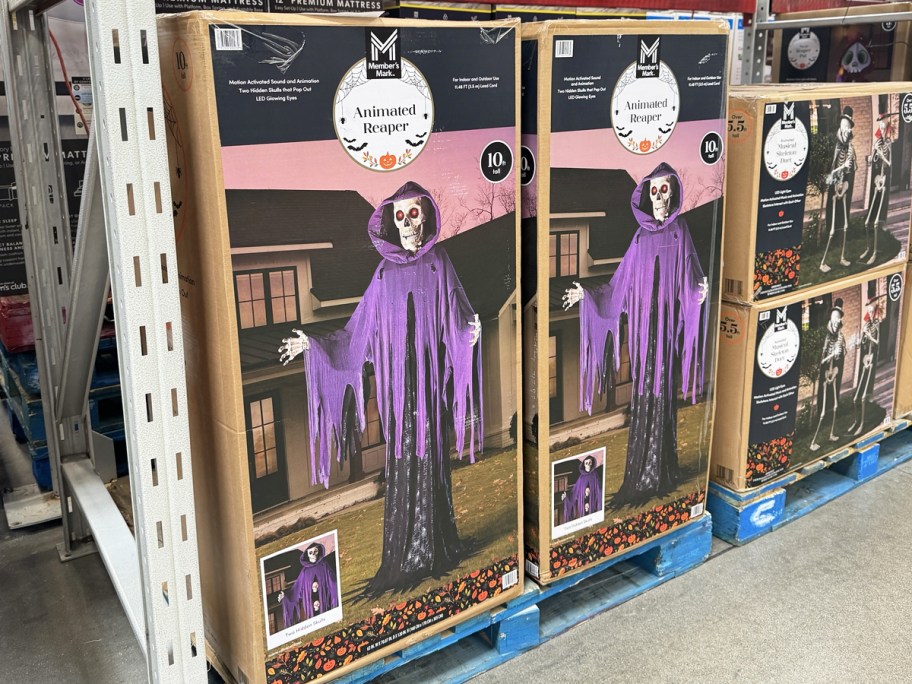 large boxes for animated reaper decorations in store