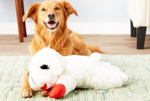 HUGE Lamb Chop Dog Toy Only $11.24 on Amazon | Hip2Save