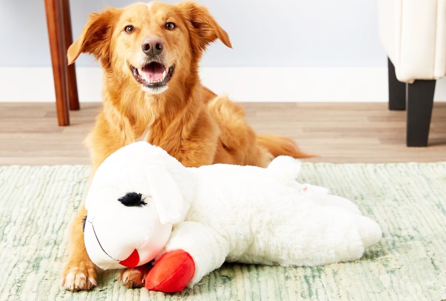 HUGE Lamb Chop Dog Toy Only $7.79 on Amazon