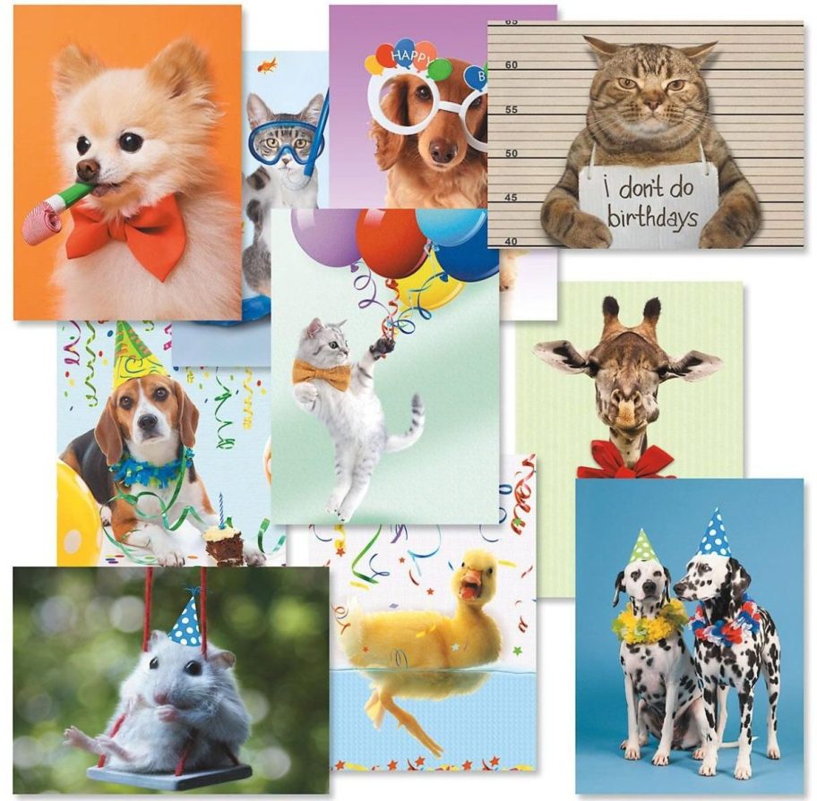 Stock image of a set of Birthday Cards