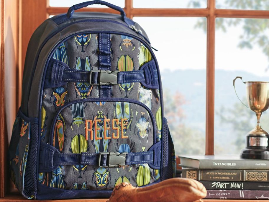 A window with a Mackenzie Bugs Glow-in-the-Dark Backpack from Pottery Barn set in front of it