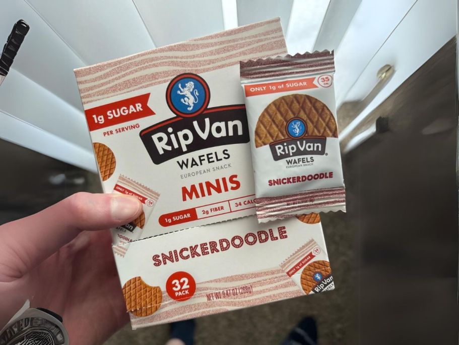 Rip Van Wafels Minis 32-Count Just $7.99 Shipped w/ Amazon Prime (Reg. $24) | Keto-Friendly Snacks!